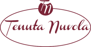 Tenuta Nuvola Torchiara b&b